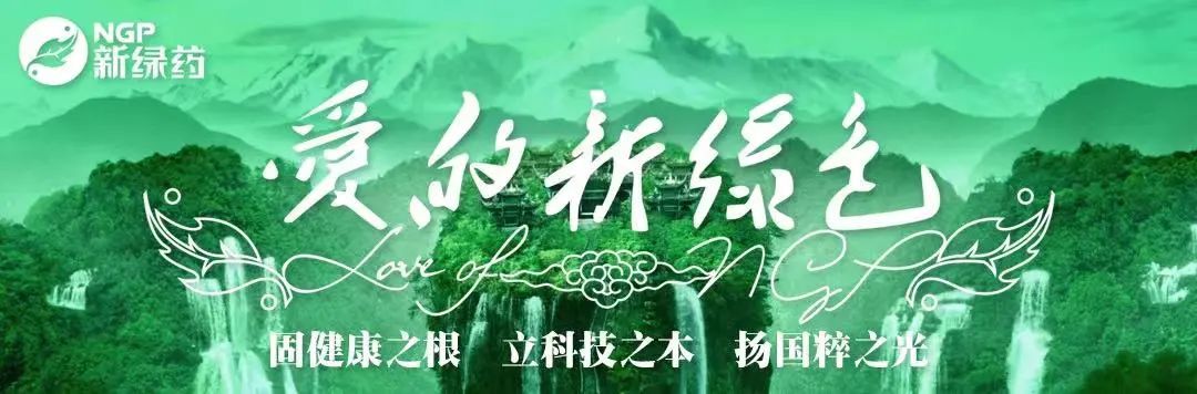 人民网：看“千年药乡”如何让中医药“老树”开“新花”